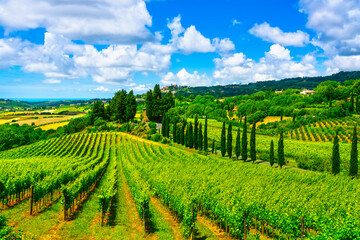 Fototapeta na wymiar Casale Marittimo village, vineyards and landscape in Maremma. Tuscany, Italy.