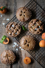 Vegan  summer tartlets with apricots 