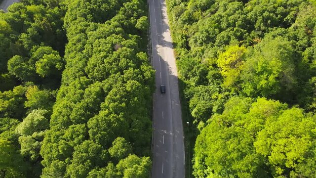 Aerial topdown view of following black car on forest road