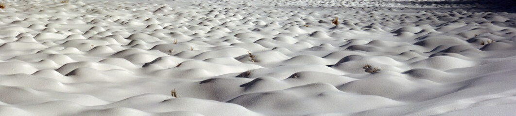 marsh tussocks under snow, winter panorama