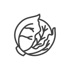 Cabbage line icon. Vector Illustration.