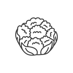 Cauliflower line icon. Vector Illustration.