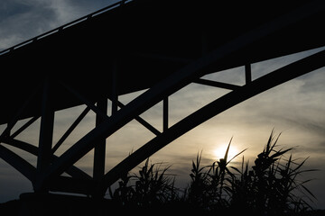 Bridge silhouette and vegetation of 