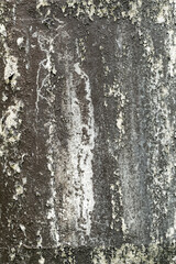 Obraz premium Peeling paint on old wall, Pattern of rustic grunge material background