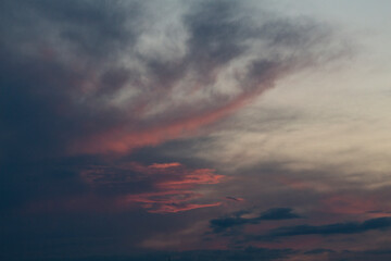 Sunset sky with pink clouds