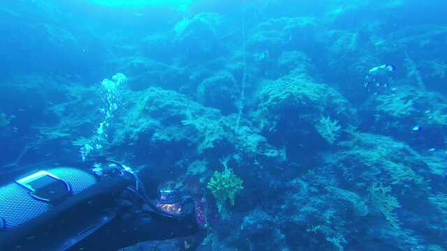 Scuba diver take photos and film wildlife underwater in Mediterranean Sea.