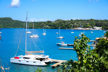 boats in the harbor