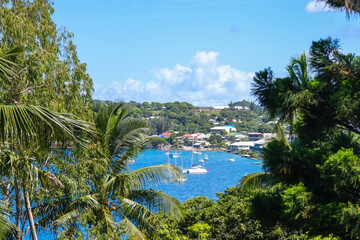 tropical beach with palm trees