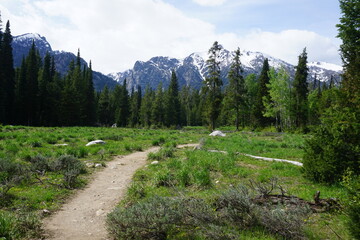 Obraz premium Trail at the Laurance S. Rockefeller Preserve in Grand Teton National Park - Wyoming, USA
