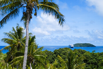 tropical beach with palm trees