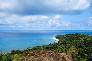 tropical beach with palm trees