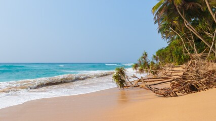 Wave splash on sand beach. Tropical oceanside with palms and turquoise water. Exotic nature.