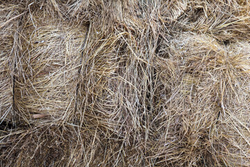 texture of hay