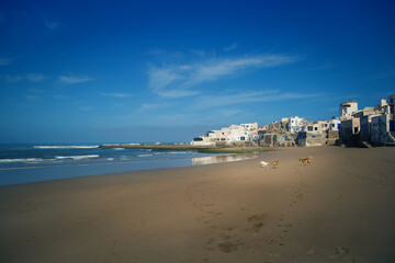 fishing town on the Atlantic ocean, white houses on the background