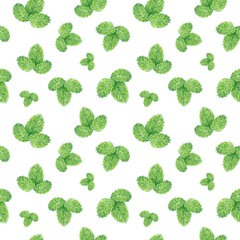 Botanical seamless pattern made of strawberry leaves, hand drawn illustration isolated on white.