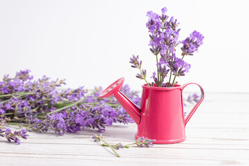 Lavender flowers arrangement with small watering can, rustic still life wallpaper