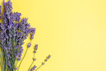 Fresh lavender flowers on yellow background, copy space