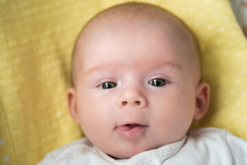 Newborn baby on blanket looking into camera. Selective focus.