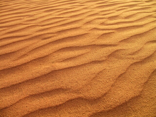 Golden sand waves and sunset shadows in the Jordan desert