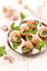 Fototapeta na wymiar french gastronomy- escargot with parsley and butter