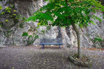An empty bench in a city Park