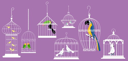 Exotic birds in decorative cages, EPS 8 vector illustration