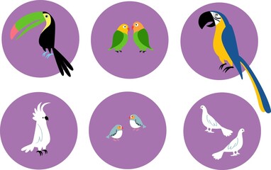Set of pet exotic birds icons on circles, EPS 8 vector illustration 