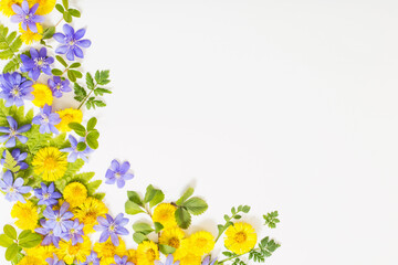 Fototapeta premium spring yellow and violet flowers on paper background