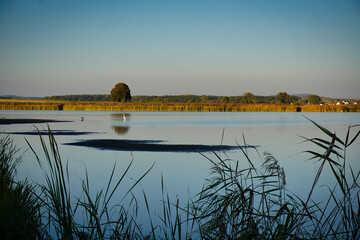 Spiegelnder See am Abend mit Vogel
