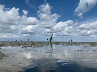 Watt vor Cuxhaven 