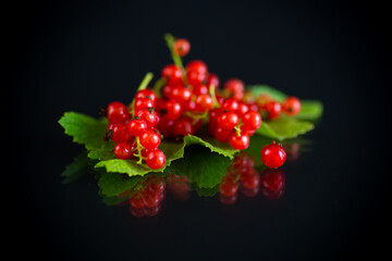 ripe summer berry red currant on a black
