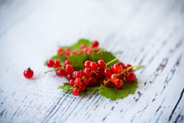 ripe summer berry red currant on a wooden
