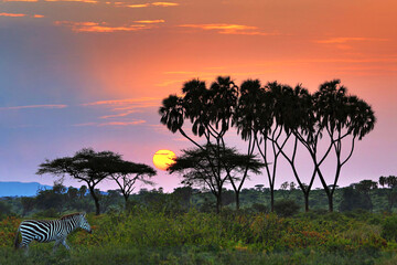 Sunrise in Samburu, Kenya, Africa