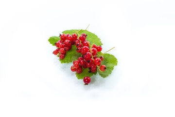 ripe summer berry red currant isolated on white