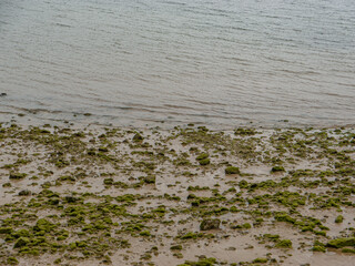 Seashore with mossy stones