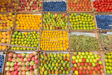 Variety of fruits in the market