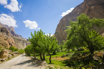 Fototapeta na wymiar mountain road in the mountains with green trees in Asia