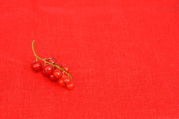 branch of red berries red currant on a red linen background. Vitamins