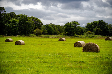 bales of hay