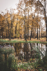 Autumn landscape during rainy day