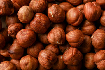 Tasty hazelnuts on whole background, close up. Vitamin food