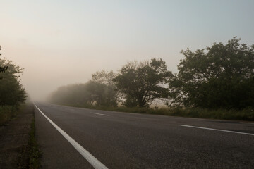 Foggy morning road. Beautiful summer morning. Travel