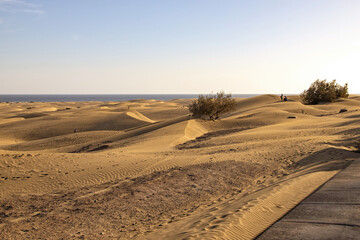 summer desert landscape on a warm sunny day from Maspalomas dunes on the Spanish island of Gran Canaria - obrazy, fototapety, plakaty
