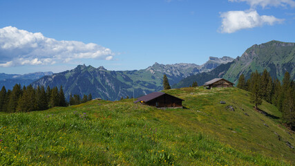 Beautiful Alp Mittelberg in Mürren, Switzerland