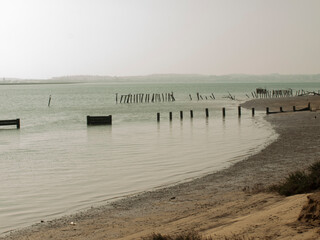 old river piers in natural park
