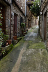 Narrow alley in the town of San Martin del Castañar. Spain.