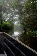 landscapes of the Peruvian Amazon
