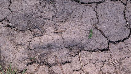 Texture of dryed out clay