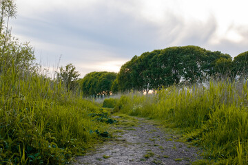 path in argiculture scene