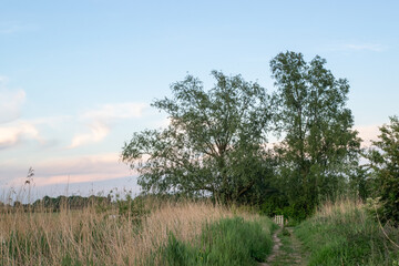 Path in the Ooijpolder in Holland